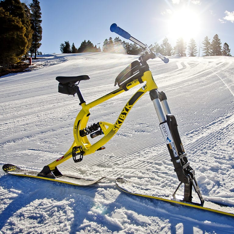 ski bike cena